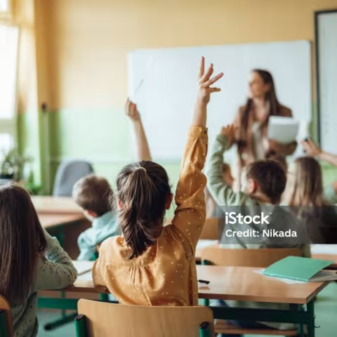Donec mollis libero id malesuada malesuada. Suspendisse blandit, enim at maximus fermentum, neque augue ullamcorper ipsum, nec venenatis dolor erat et urna.