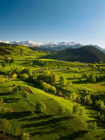 Higher ground.

There is an almost surreal calm that comes with watching the morning mist settle over these rolling green slopes. It looks less like real life and more like a scene straight out of a classic storybook. I spent hours today just tracking the
