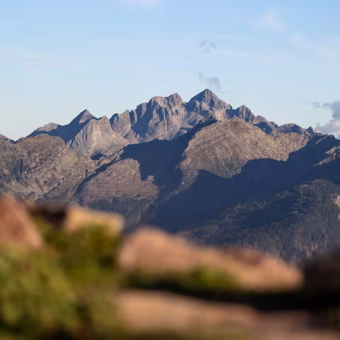 Lorem ipsum dolor sit amet, consectetur adipiscing elit. Aliquam quis metus et risus ullamcorper eleifend. In hac habitasse platea dictumst. Proin maximus consectetur mi non viverra. Nunc pulvinar fringilla consequat. Etiam at maximus dui, eu cursus quam.