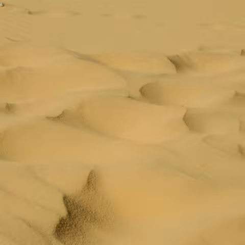 Lorem ipsum dolor sit amet, consectetur adipiscing elit. Aliquam quis metus et risus ullamcorper eleifend. In hac habitasse platea dictumst. Proin maximus consectetur mi non viverra. Nunc pulvinar fringilla consequat. Etiam at maximus dui, eu cursus quam.