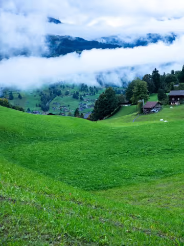 Higher ground.

There is an almost surreal calm that comes with watching the morning mist settle over these rolling green slopes. It looks less like real life and more like a scene straight out of a classic storybook. I spent hours today just tracking the